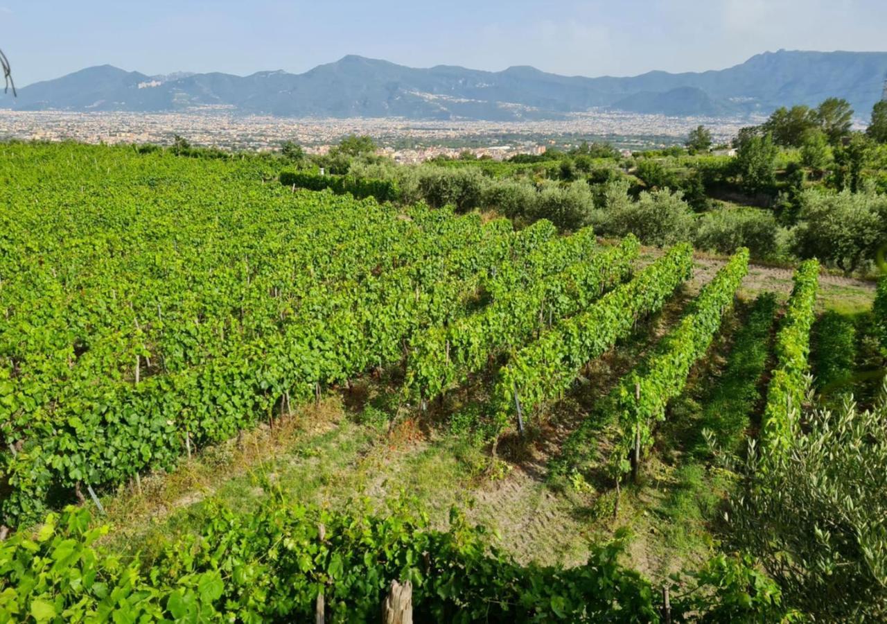 Vesuvio Inn Bed & Wine Experience Boscotrecase Eksteriør billede