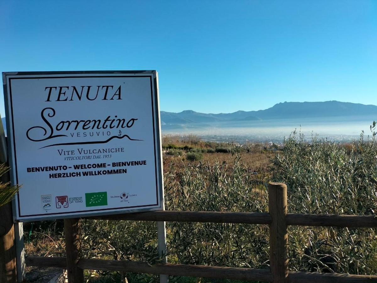 Vesuvio Inn Bed & Wine Experience Boscotrecase Eksteriør billede