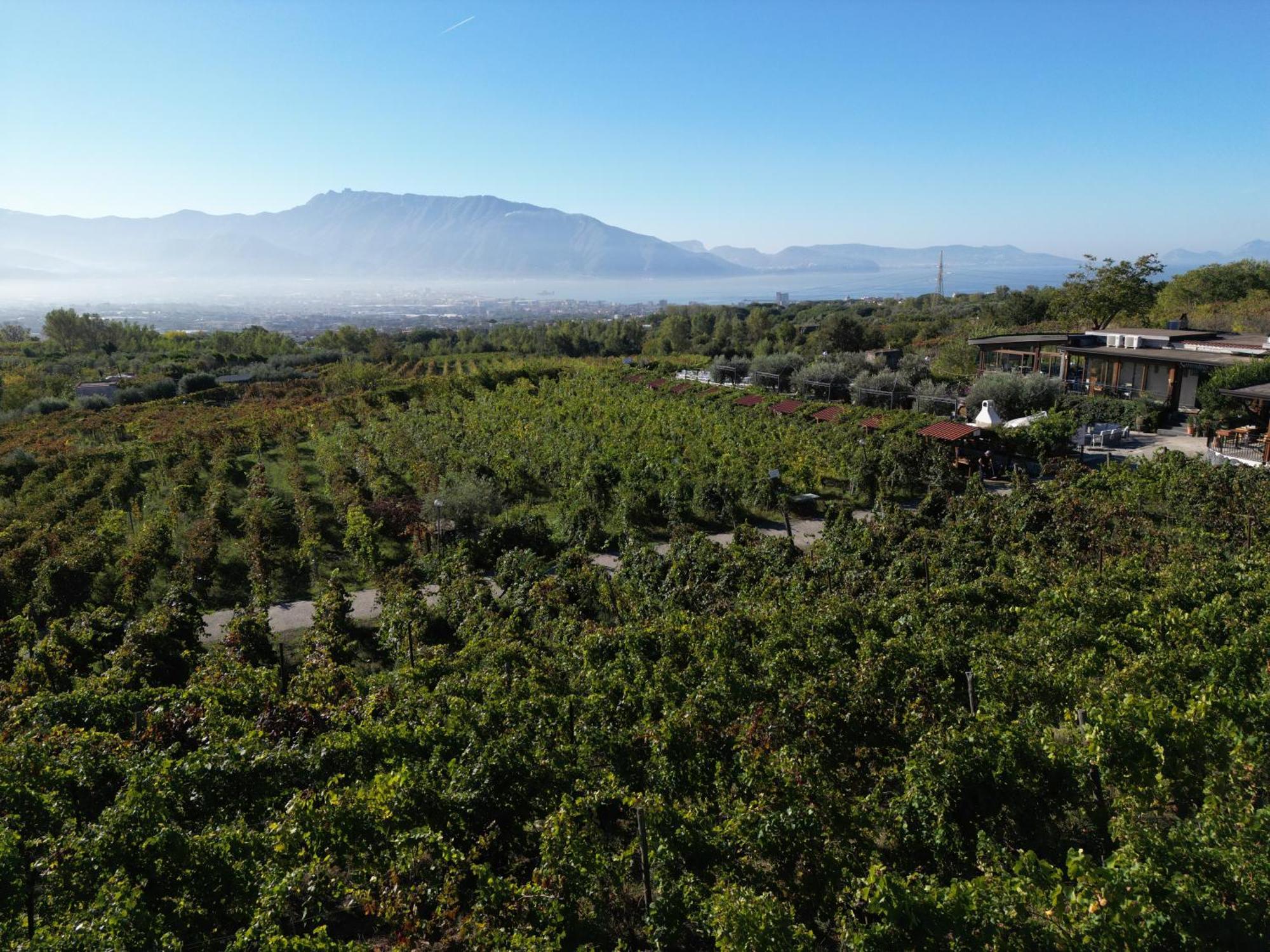 Vesuvio Inn Bed & Wine Experience Boscotrecase Eksteriør billede
