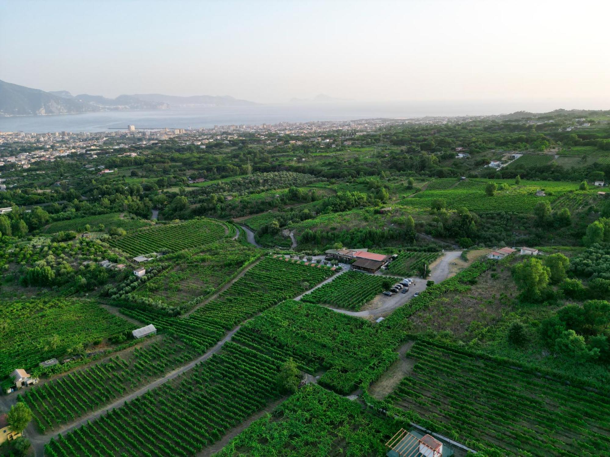Vesuvio Inn Bed & Wine Experience Boscotrecase Eksteriør billede