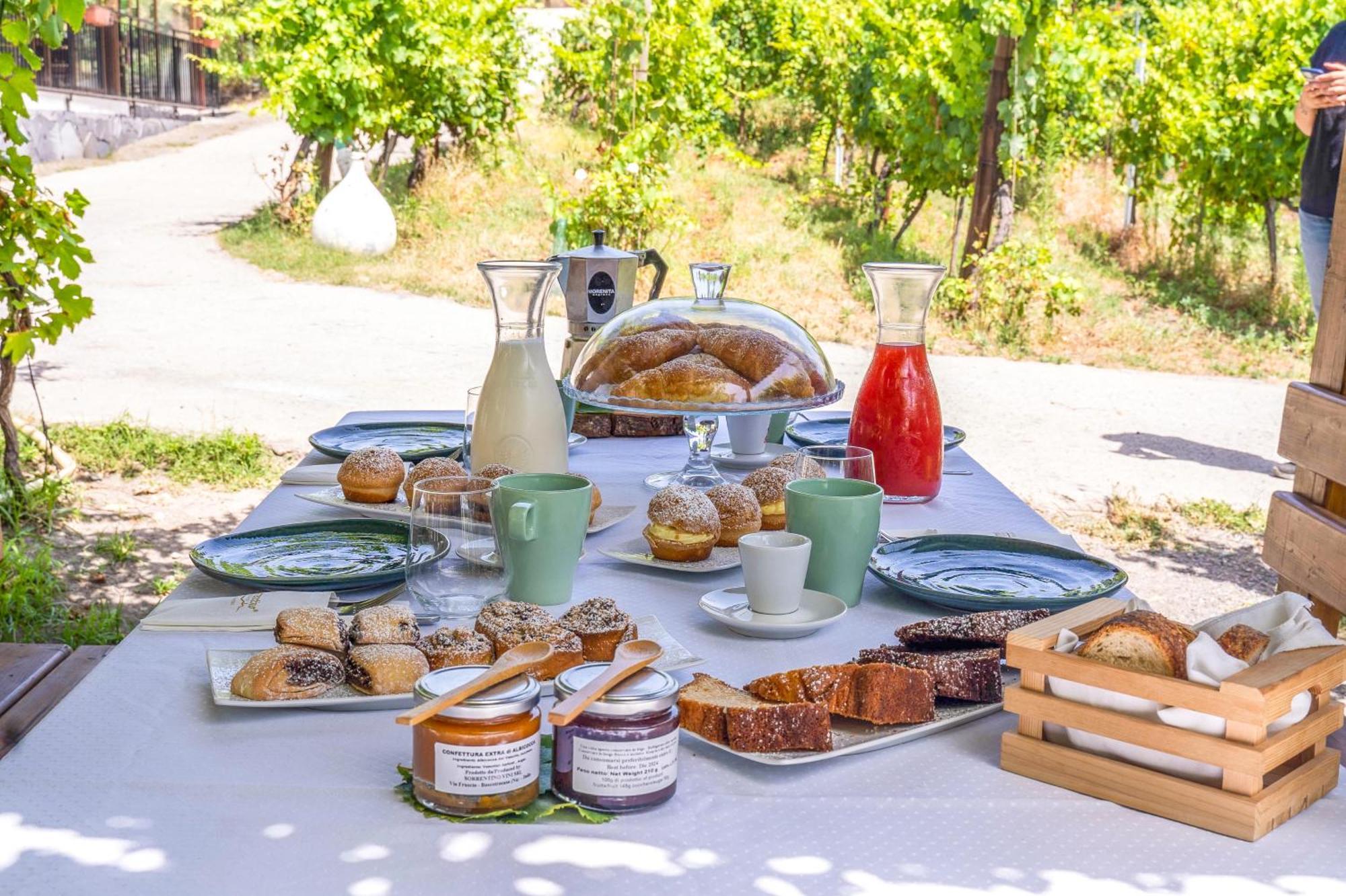 Vesuvio Inn Bed & Wine Experience Boscotrecase Eksteriør billede