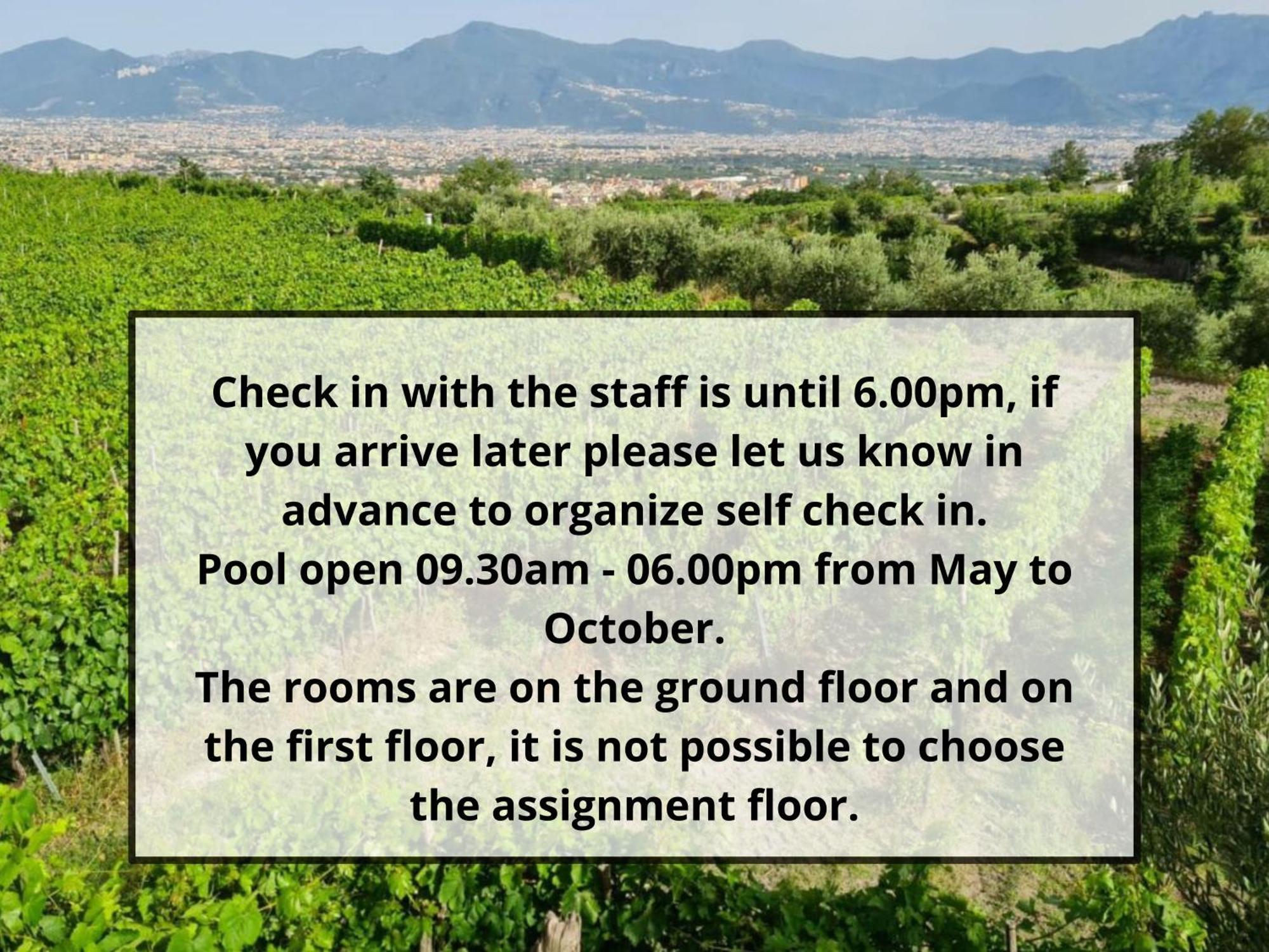 Vesuvio Inn Bed & Wine Experience Boscotrecase Eksteriør billede