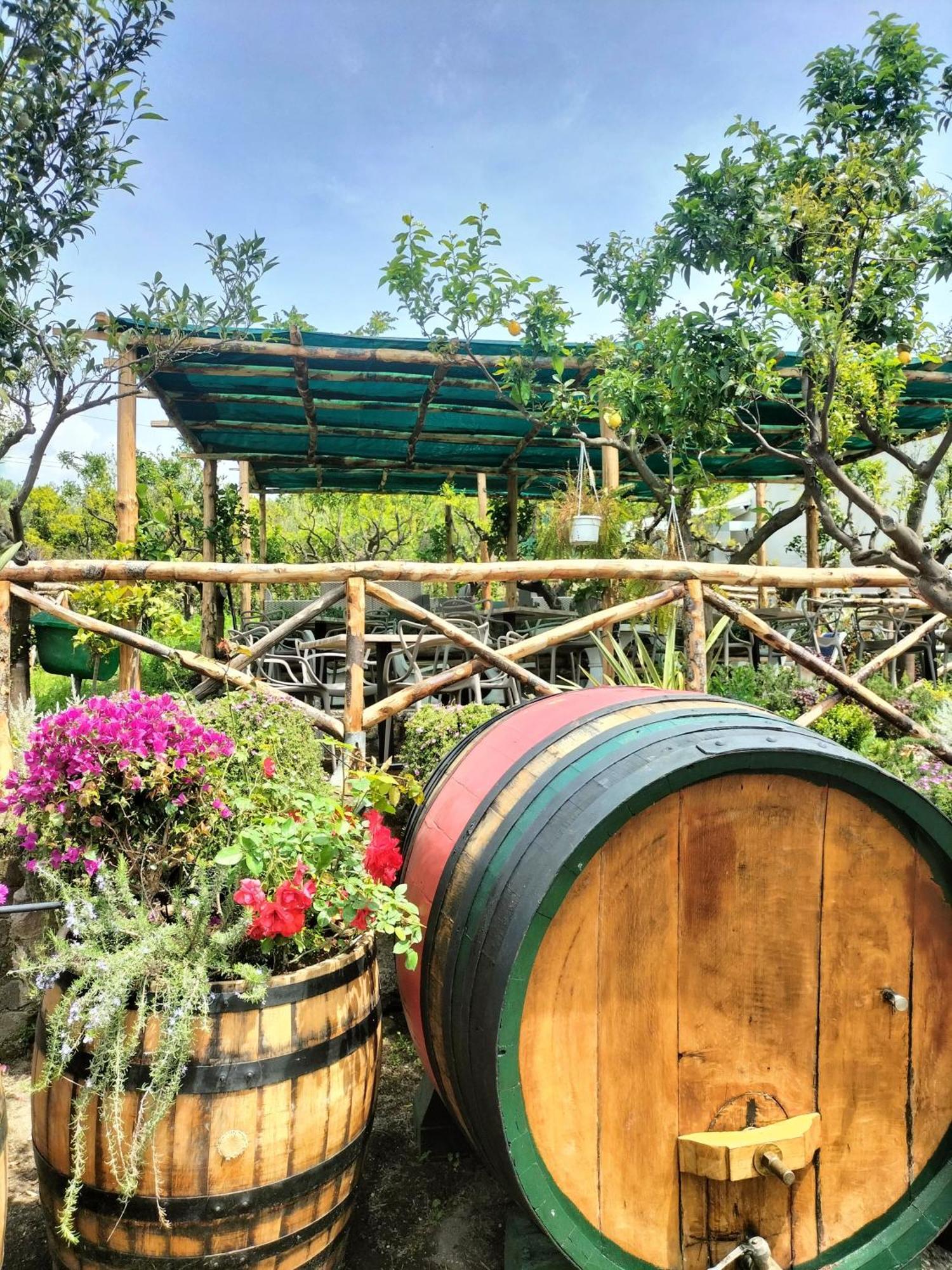 Vesuvio Inn Bed & Wine Experience Boscotrecase Eksteriør billede